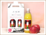 りんごジュース(2本)